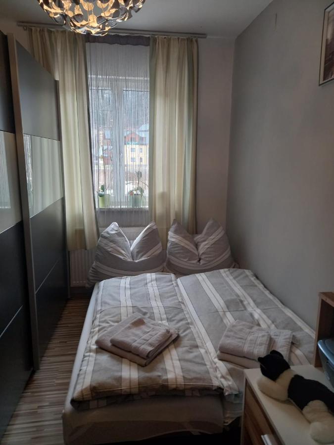 S&W Apartment Loserblick Altaussee Eksteriør billede